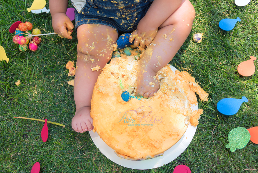 Smash Cake niños